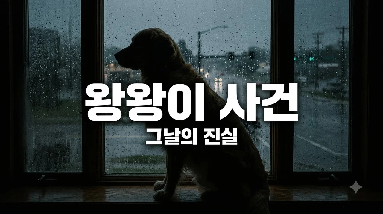 왕왕이 사건 전말과 충격적인 진실: 중국 동물학대 실태 총정리